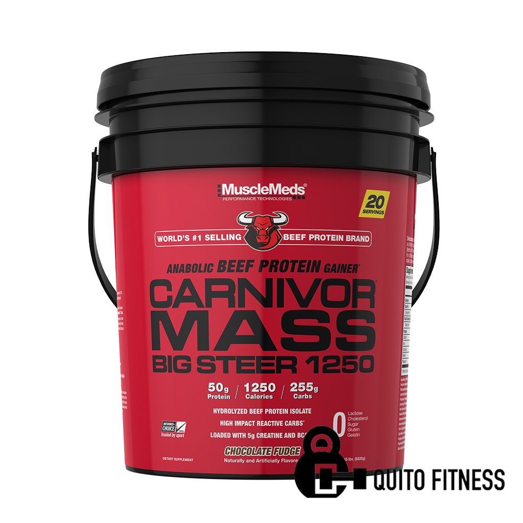 CARNIVOR MASS 15LB CHOCOLATE FUDGE